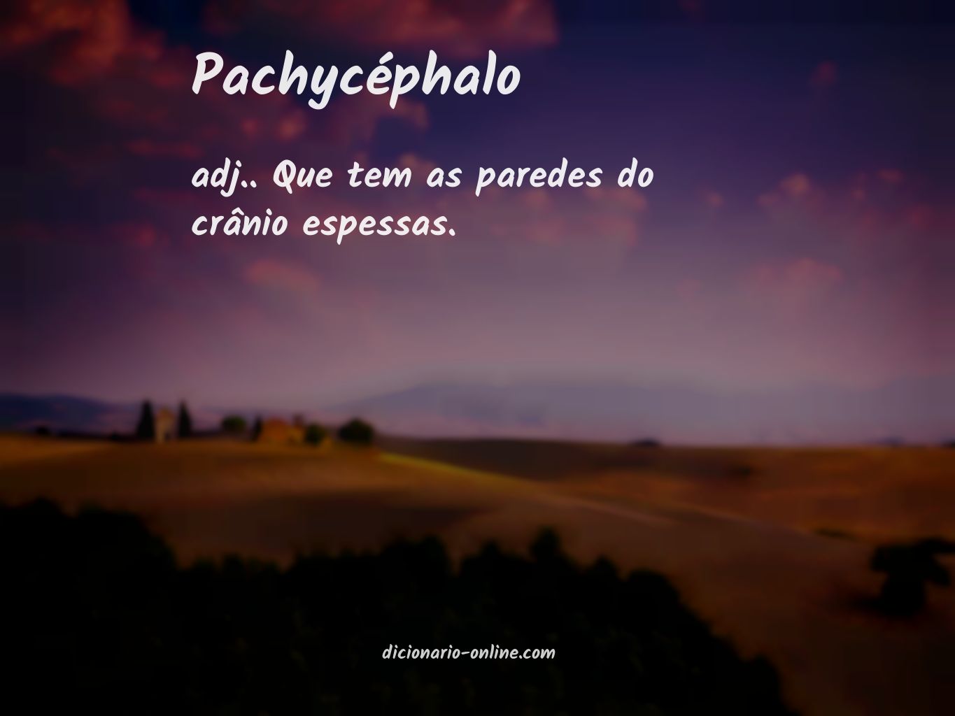 Significado de pachycéphalo