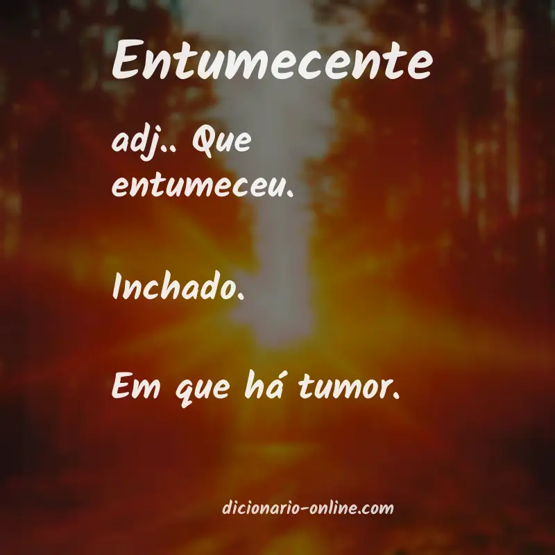 Significado de entumecente