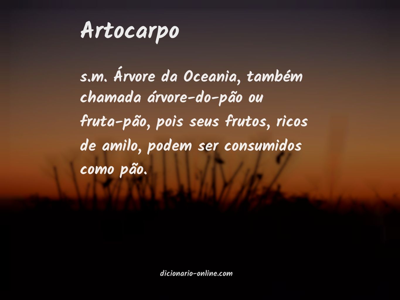 Significado de artocarpo