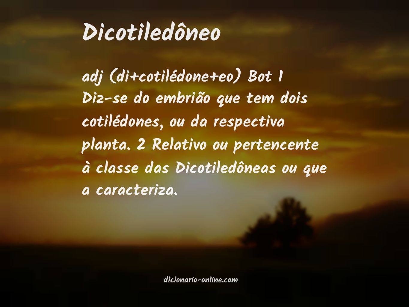 Significado de dicotiledôneo