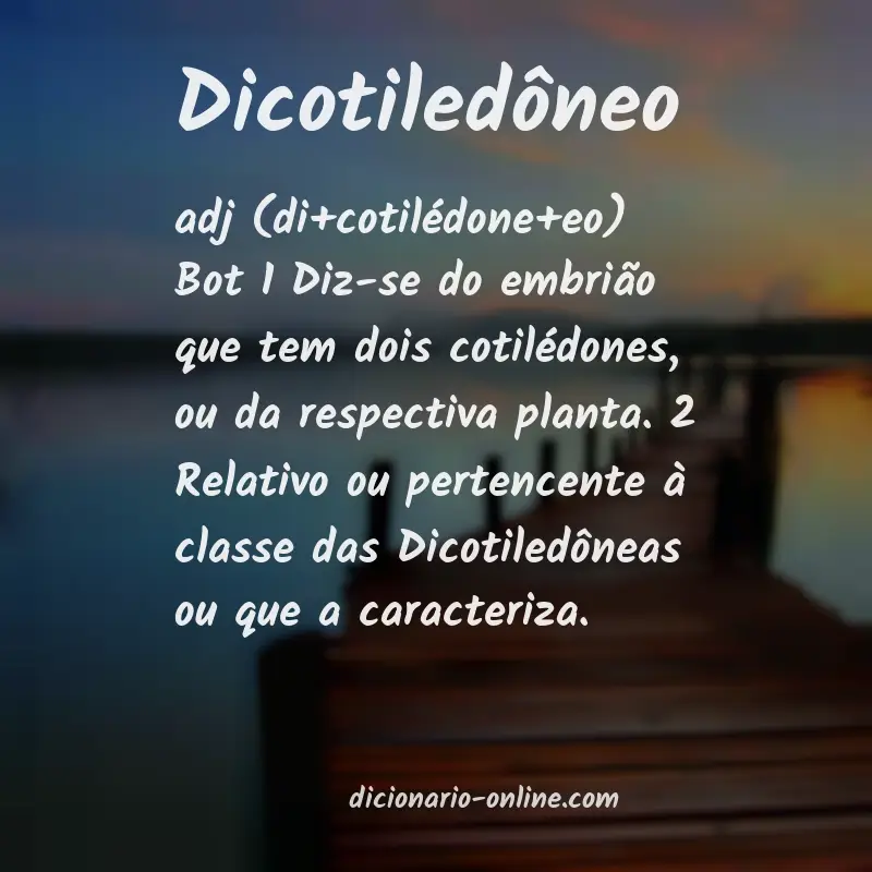 Significado de dicotiledôneo
