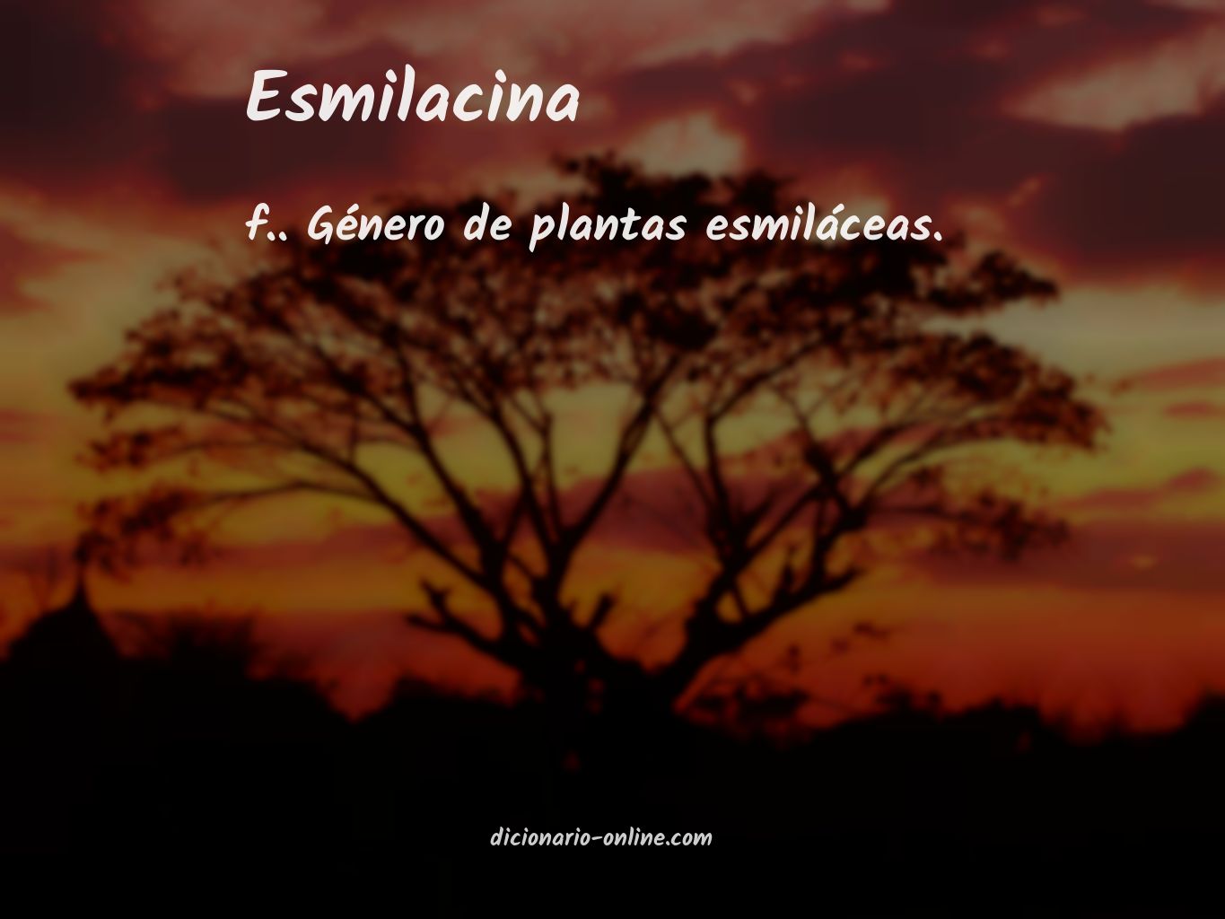 Significado de esmilacina