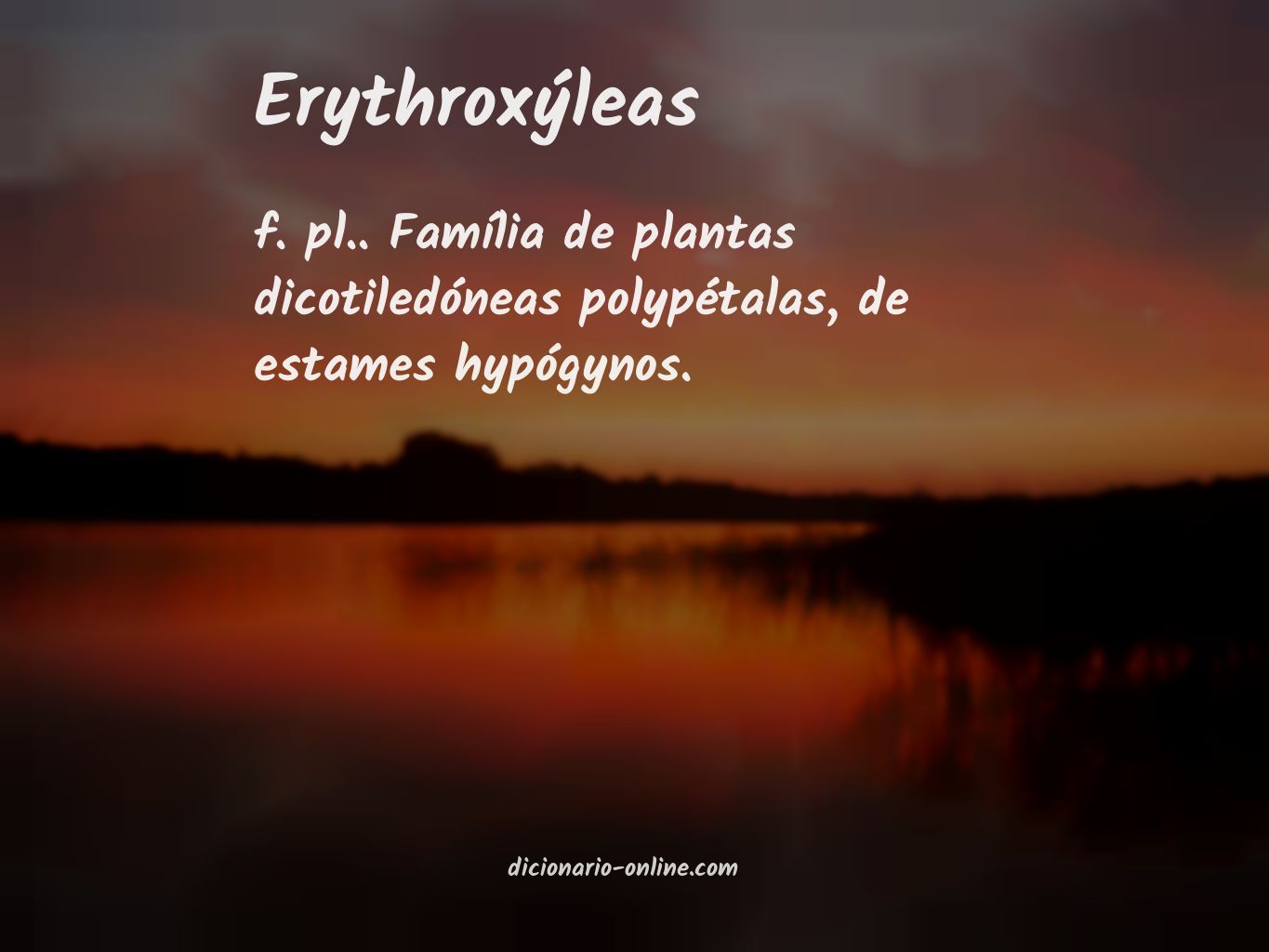 Significado de erythroxýleas