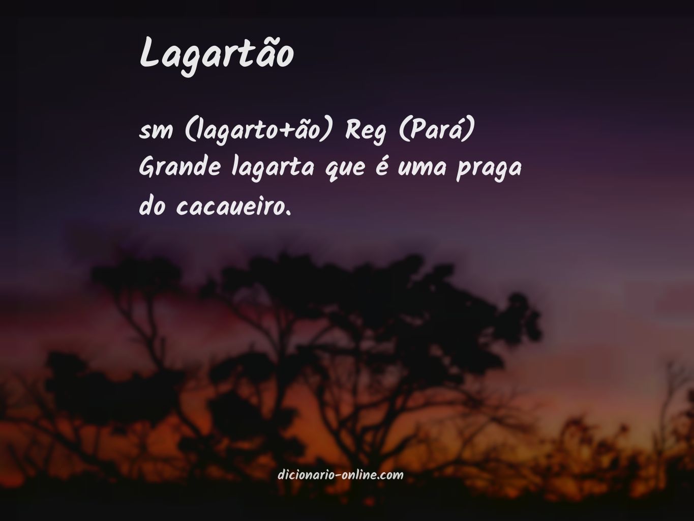 Significado de lagartão