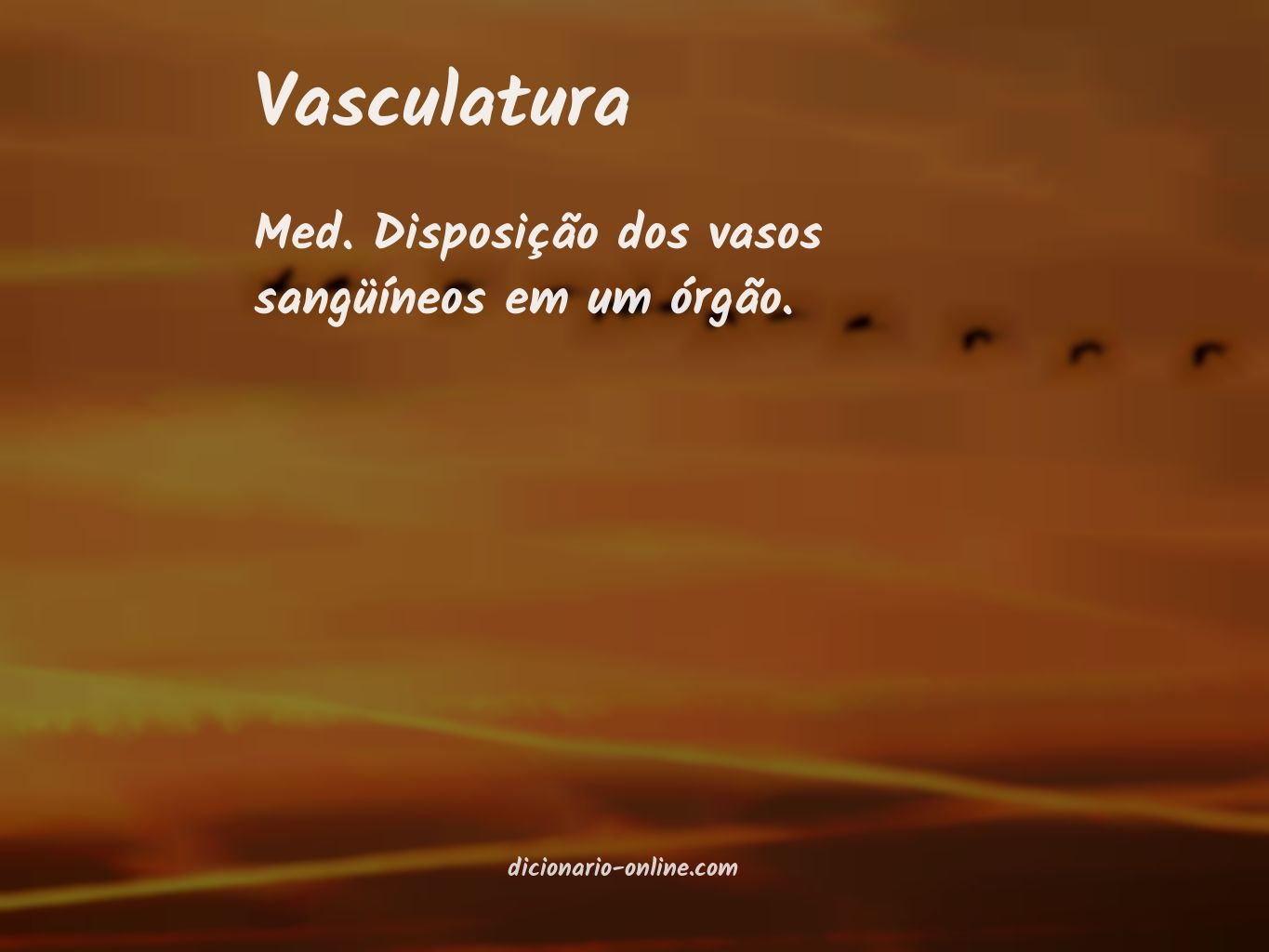 Significado de vasculatura