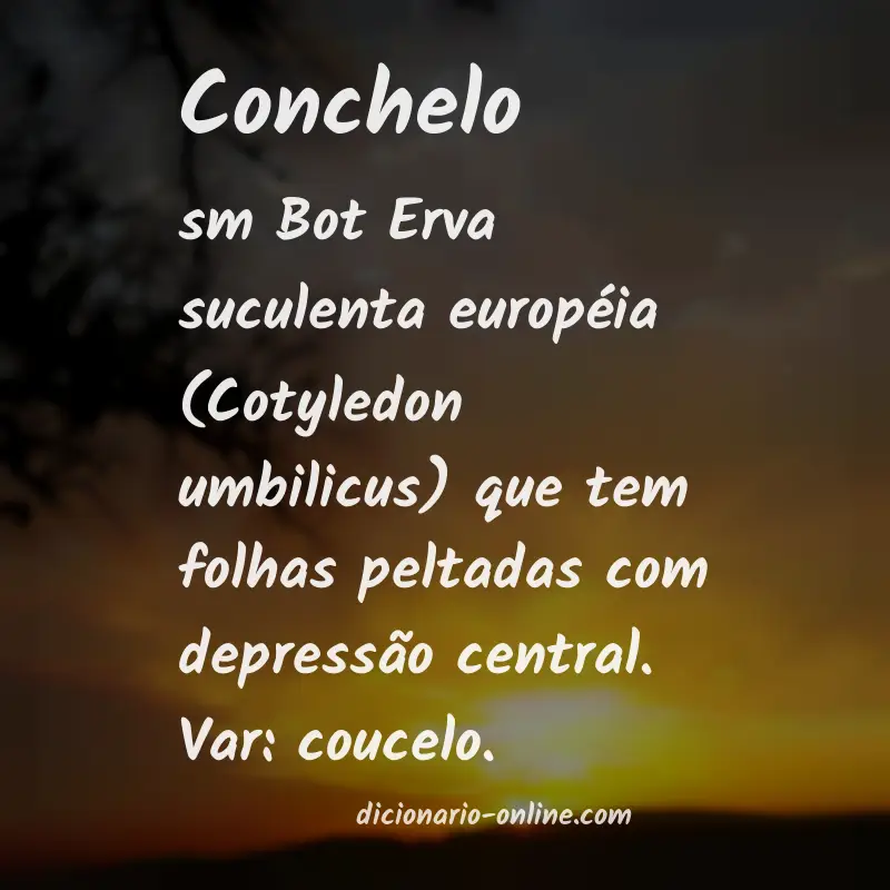 Significado de conchelo