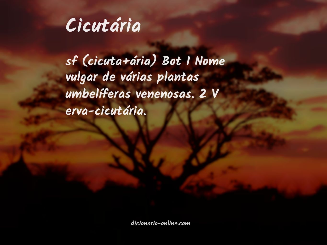 Significado de cicutária