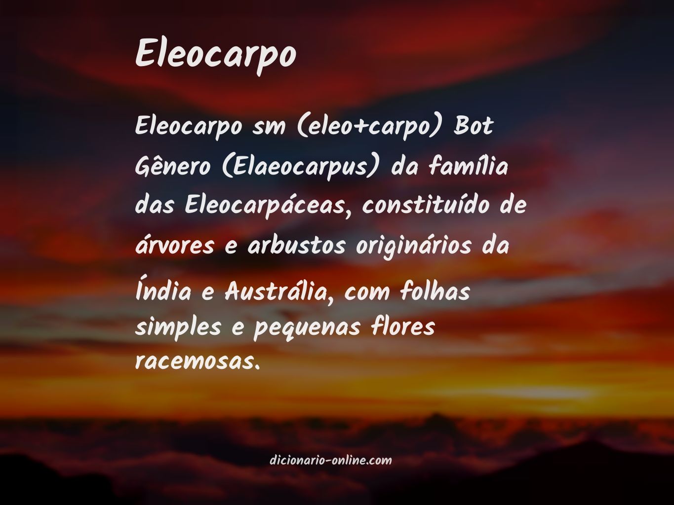 Significado de eleocarpo