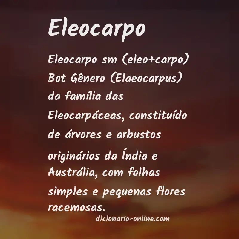 Significado de eleocarpo