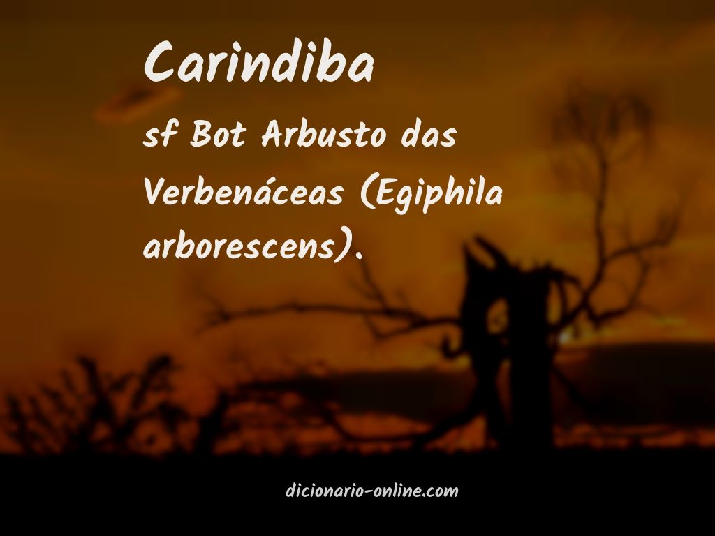 Significado de carindiba