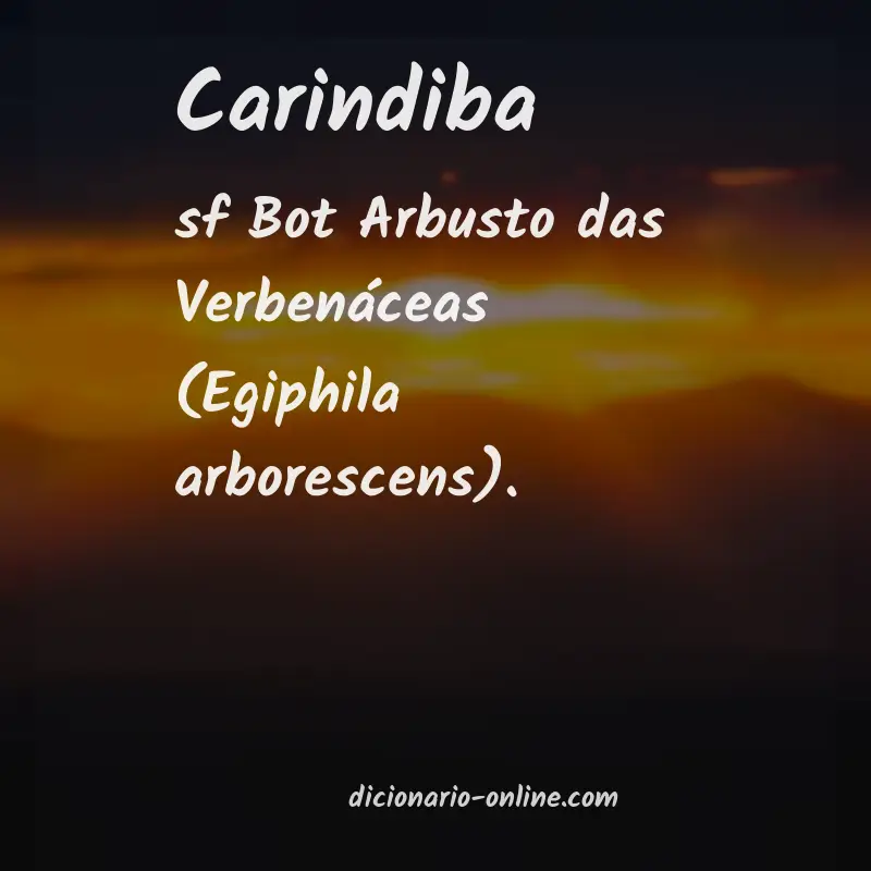 Significado de carindiba