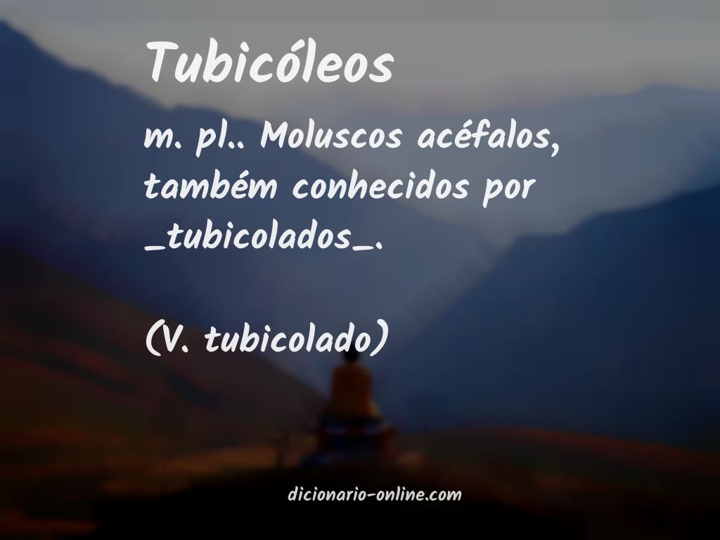 Significado de tubicóleos