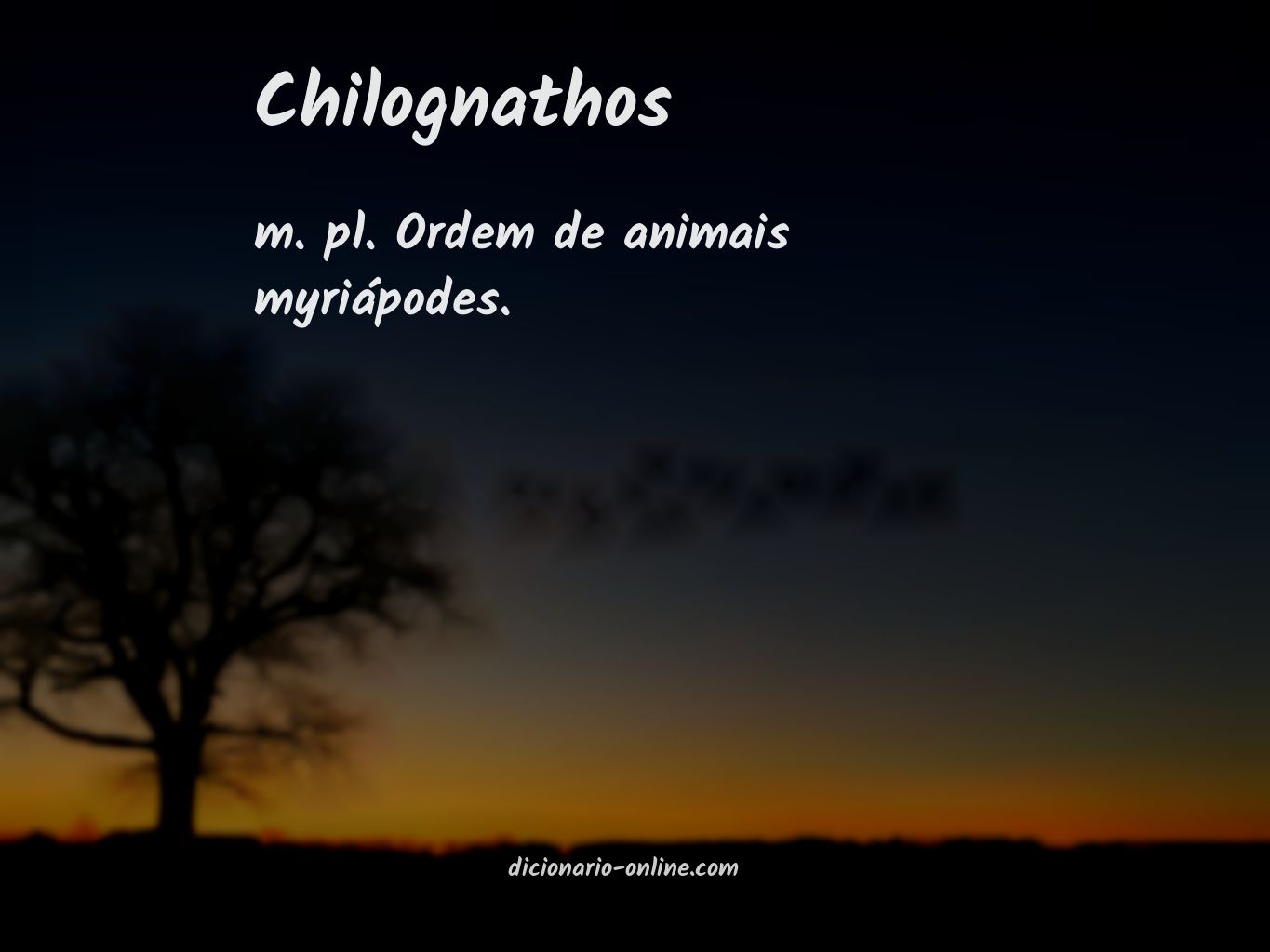 Significado de chilognathos