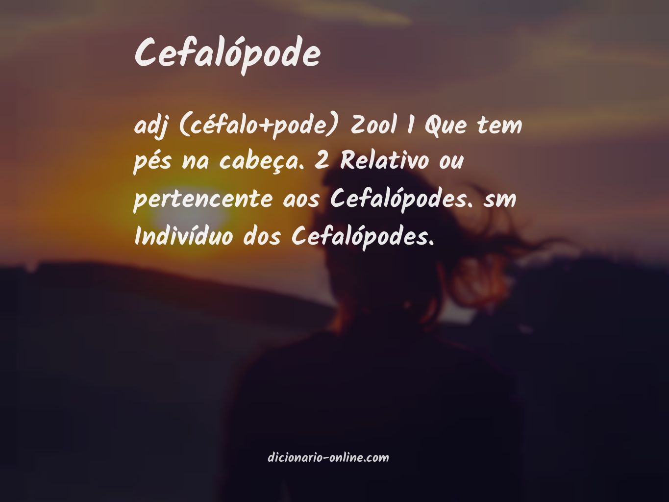 Significado de cefalópode