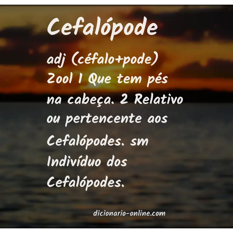 Significado de cefalópode