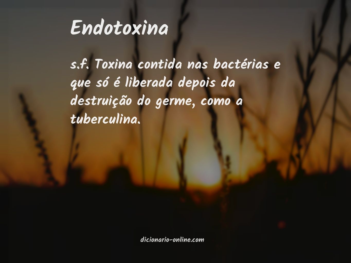 Significado de endotoxina