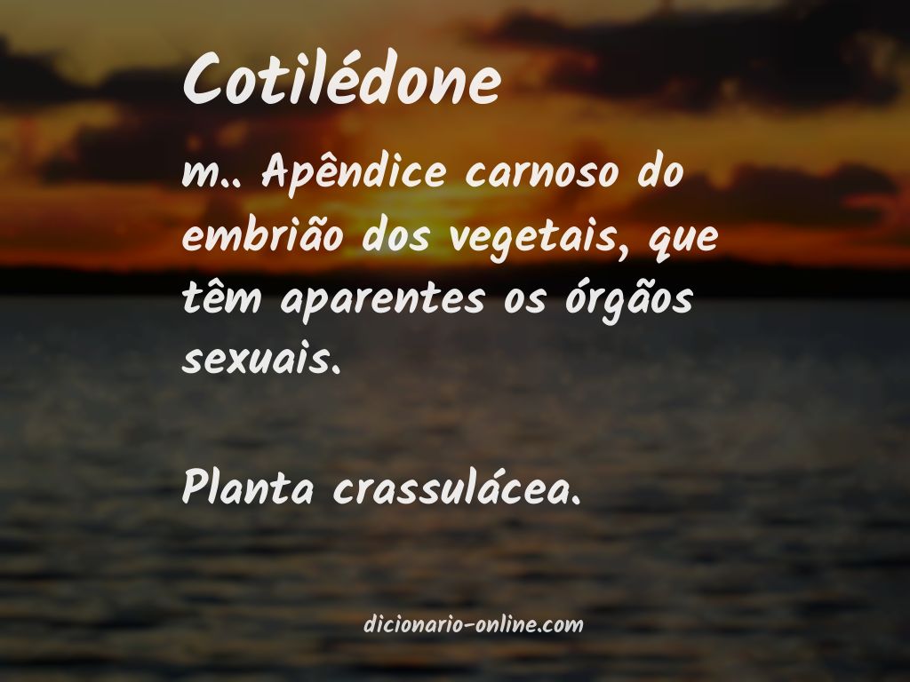 Significado de cotilédone