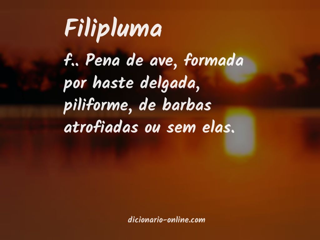 Significado de filipluma