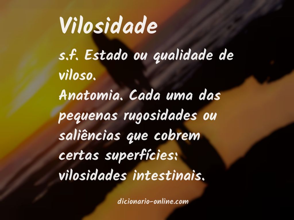 Significado de vilosidade