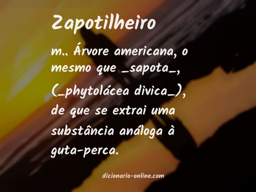 Significado de zapotilheiro