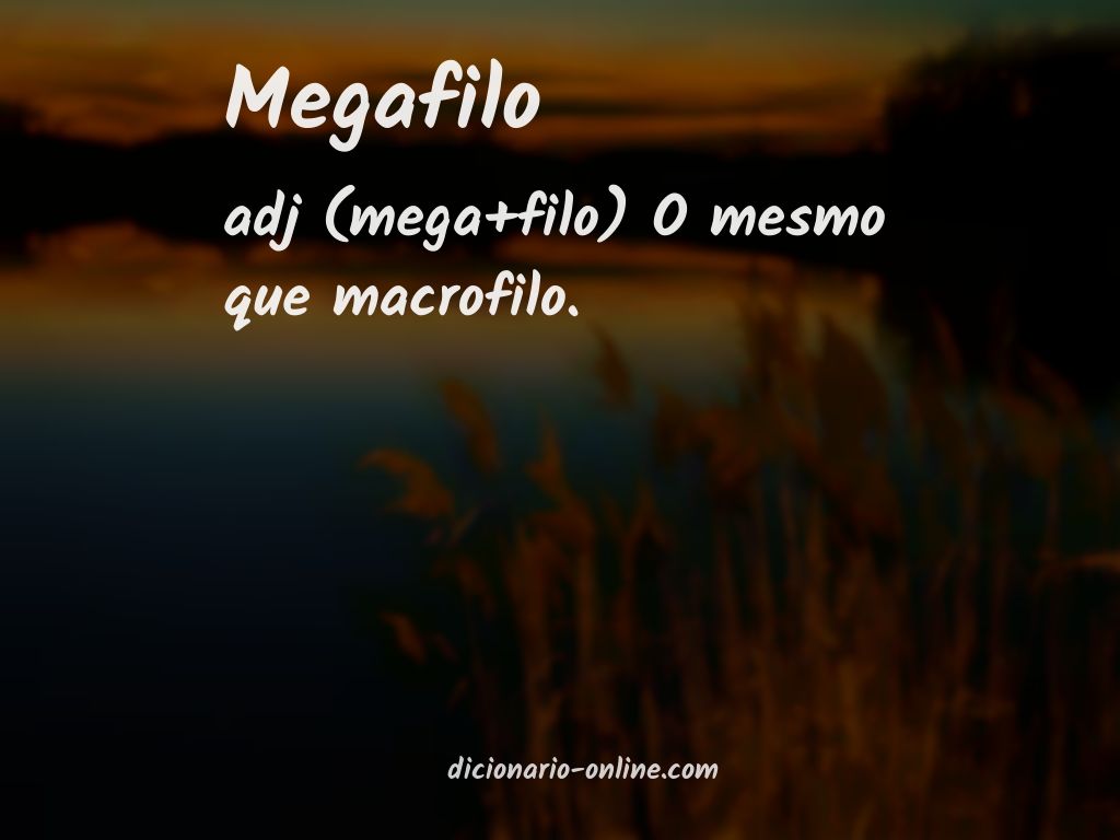 Significado de megafilo