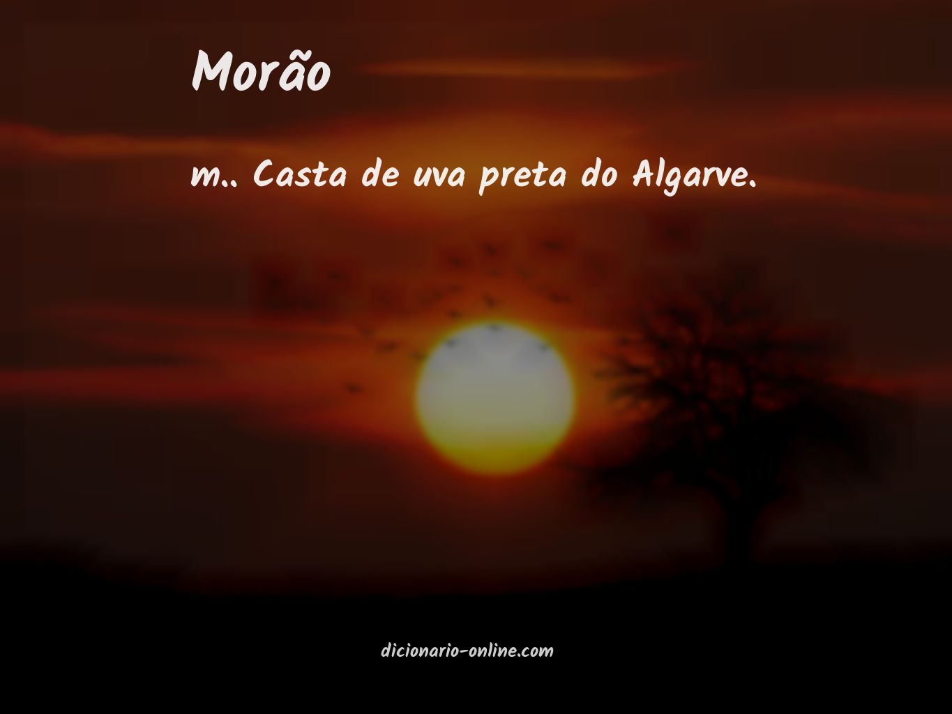 Significado de morão