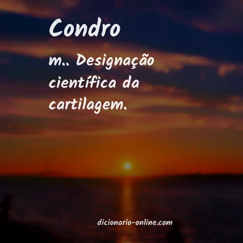 Significado de condro