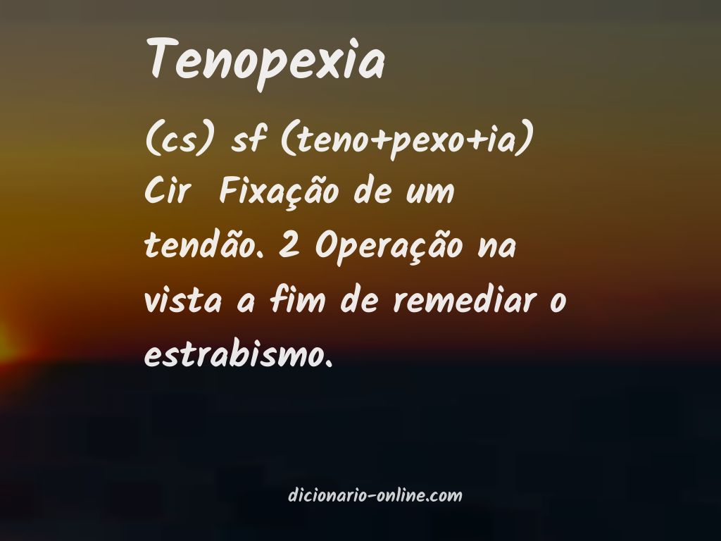 Significado de tenopexia