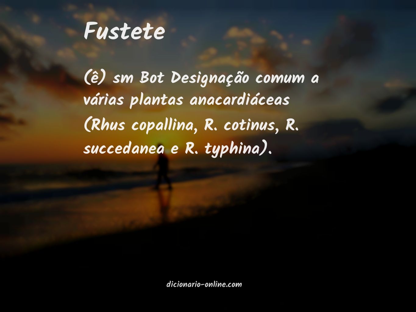 Significado de fustete