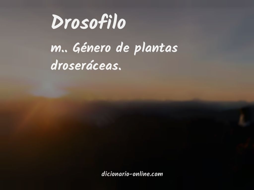 Significado de drosofilo