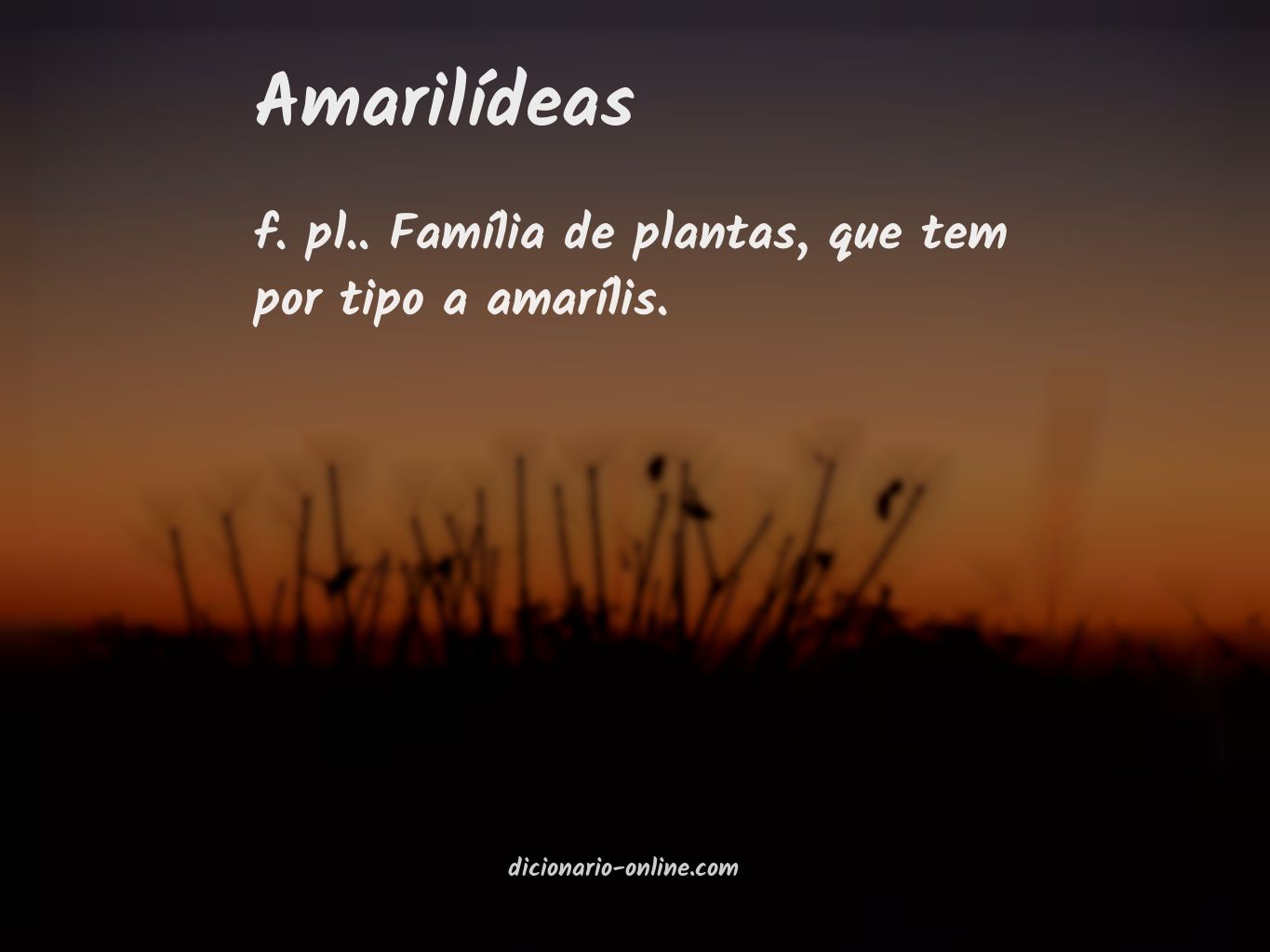 Significado de amarilídeas