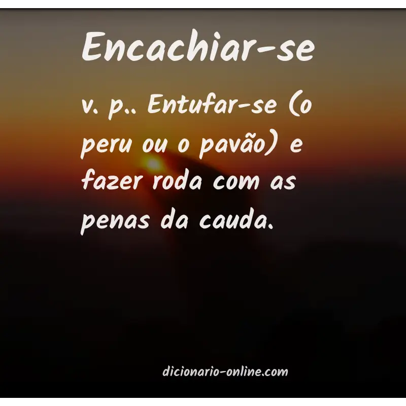 Significado de encachiar-se