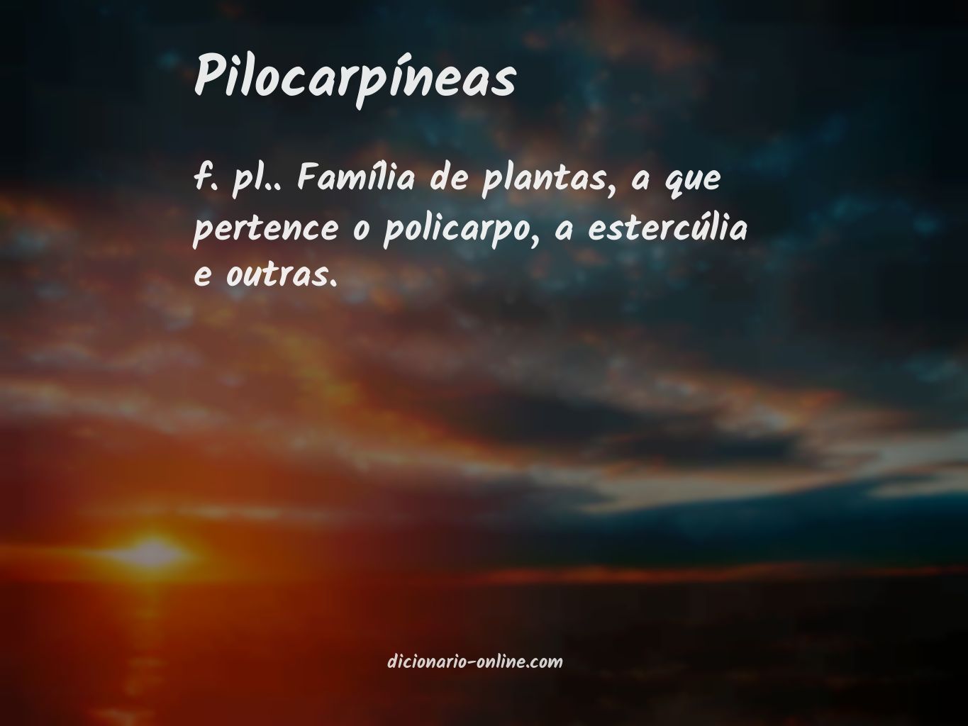 Significado de pilocarpíneas