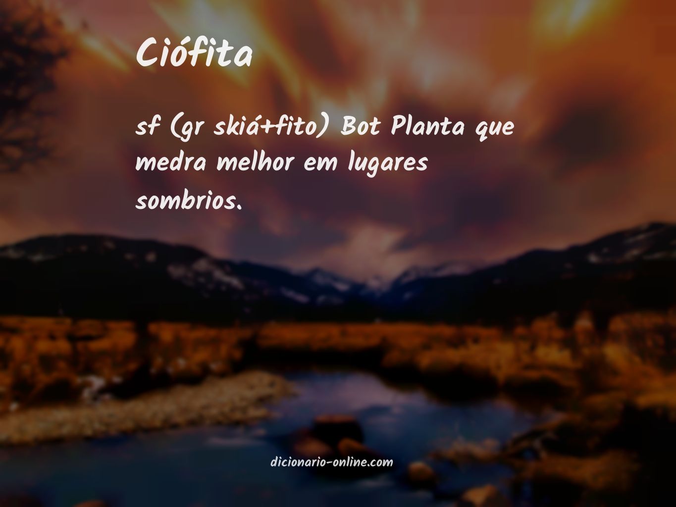 Significado de ciófita
