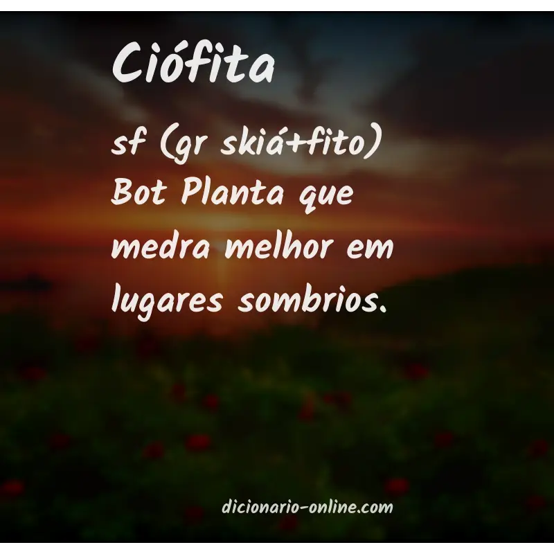 Significado de ciófita
