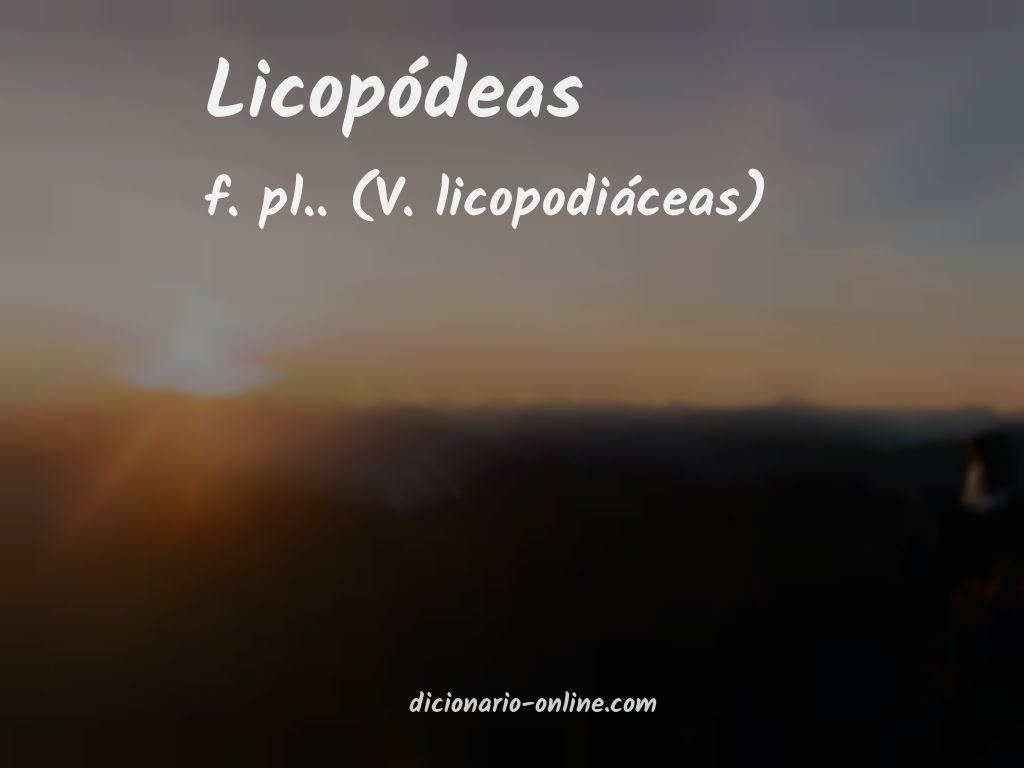 Significado de licopódeas