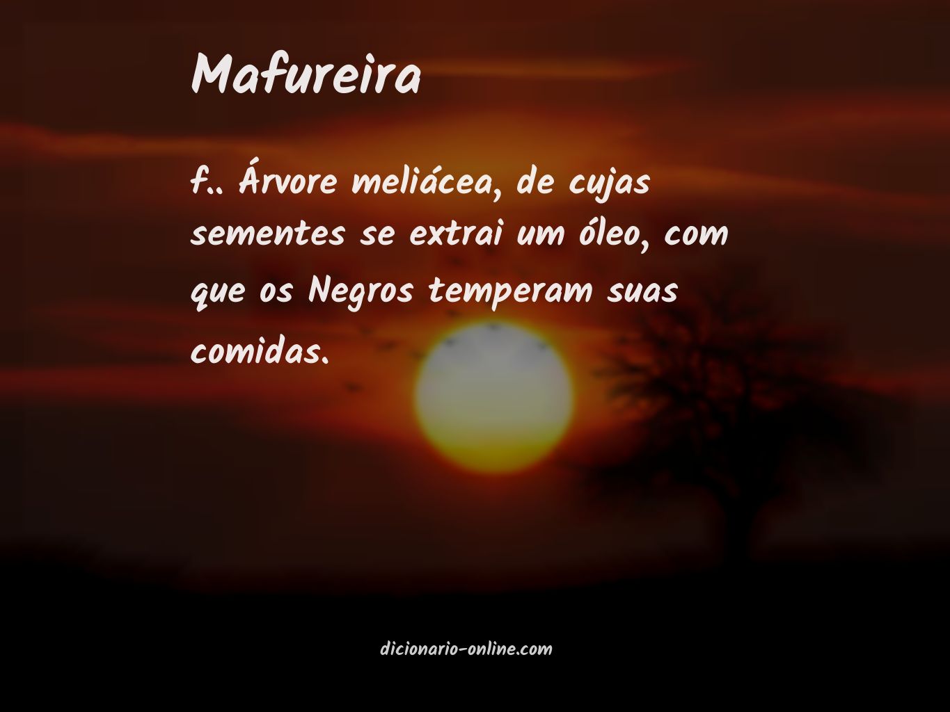 Significado de mafureira