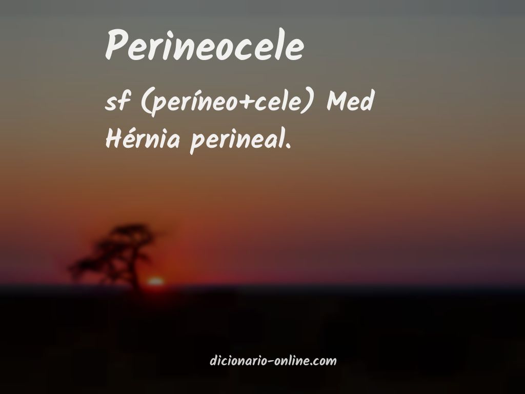Significado de perineocele