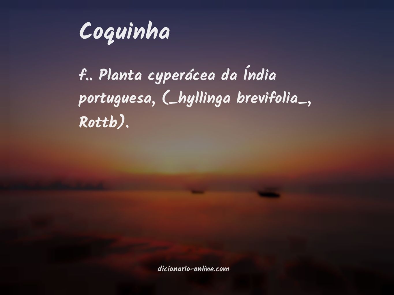 Significado de coquinha