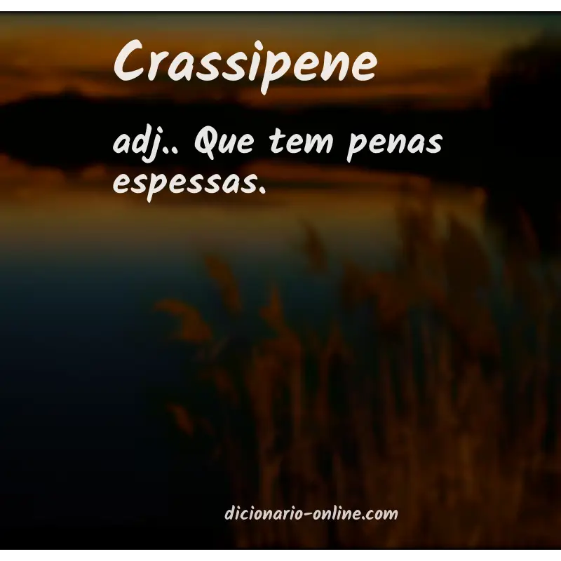 Significado de crassipene