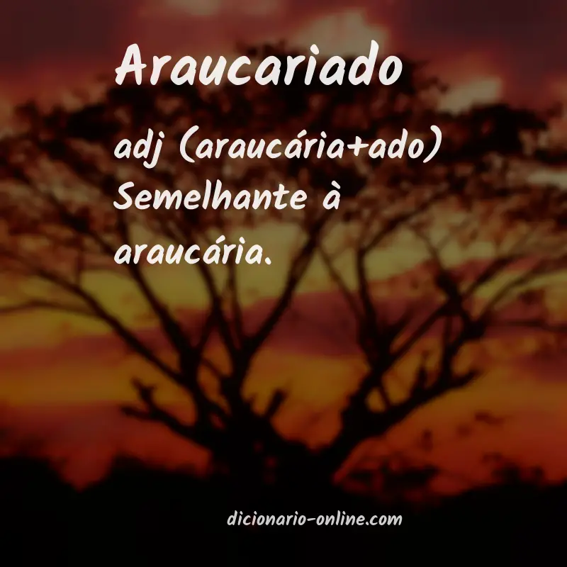 Significado de araucariado