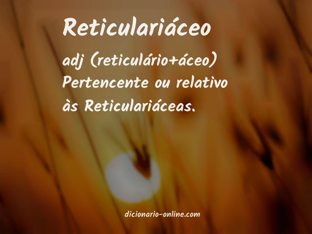 Significado de reticulariáceo