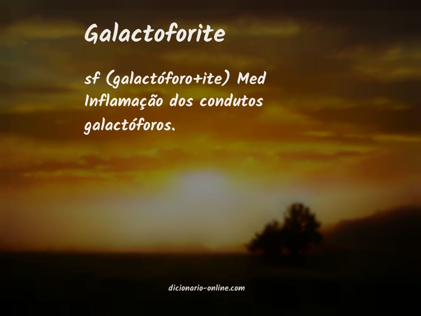 Significado de galactoforite
