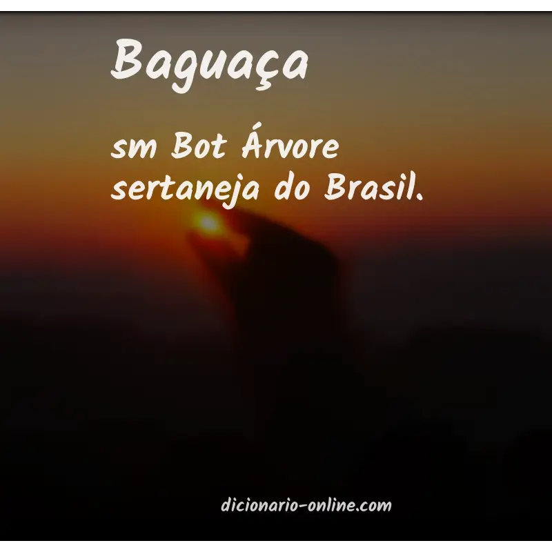 Significado de baguaça