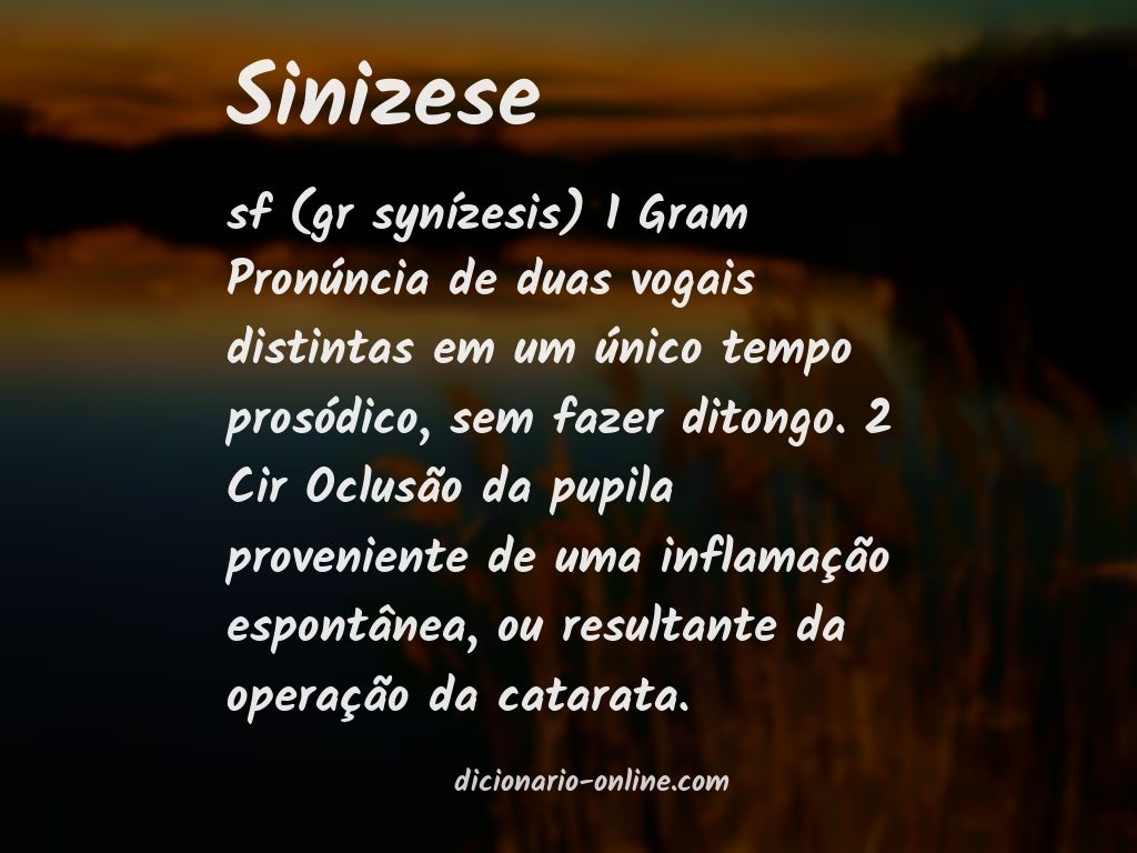 Significado de sinizese