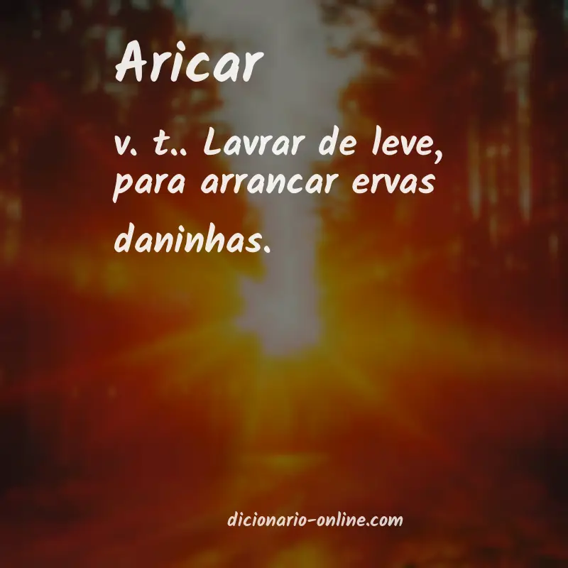 Significado de aricar
