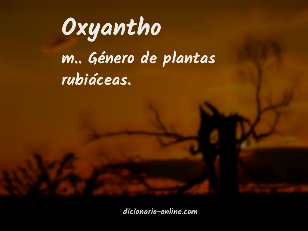 Significado de oxyantho