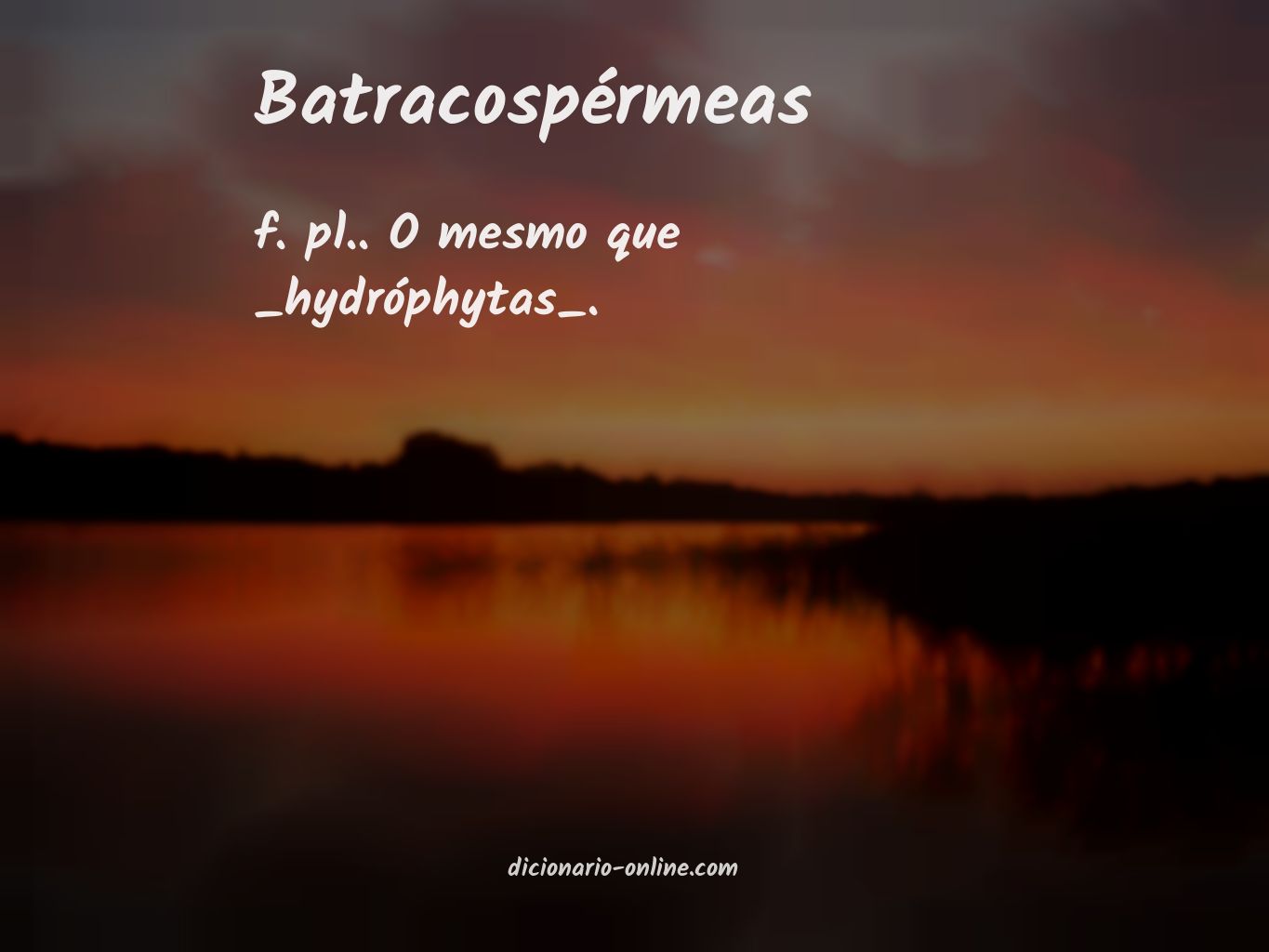 Significado de batracospérmeas