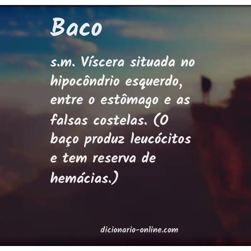 Significado de baco
