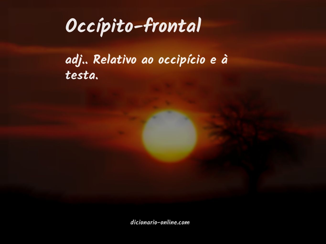 Significado de occípito-frontal